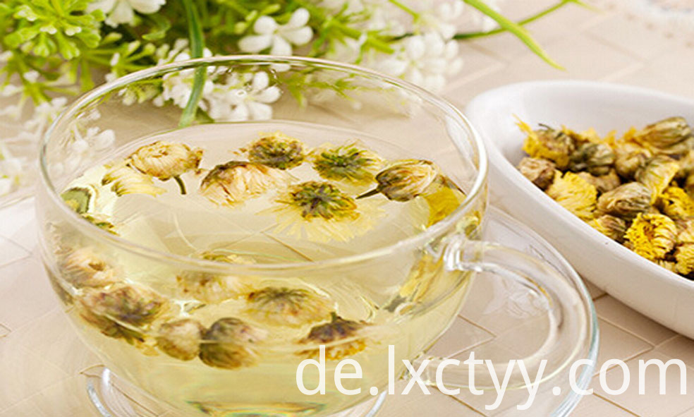 getrocknete Chrysantheme blüht Tee dried chrysanthemum flowers tea